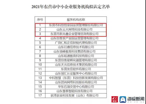 東營高新區再添新翼 三家市級中小企業服務機構獲認定，聚焦計算機軟硬件開發與銷售